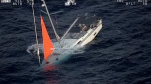 Four sailors rescued after boat hits whale